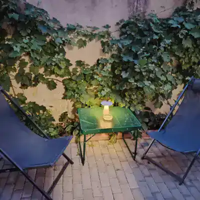 Terasă și spațiu exterior